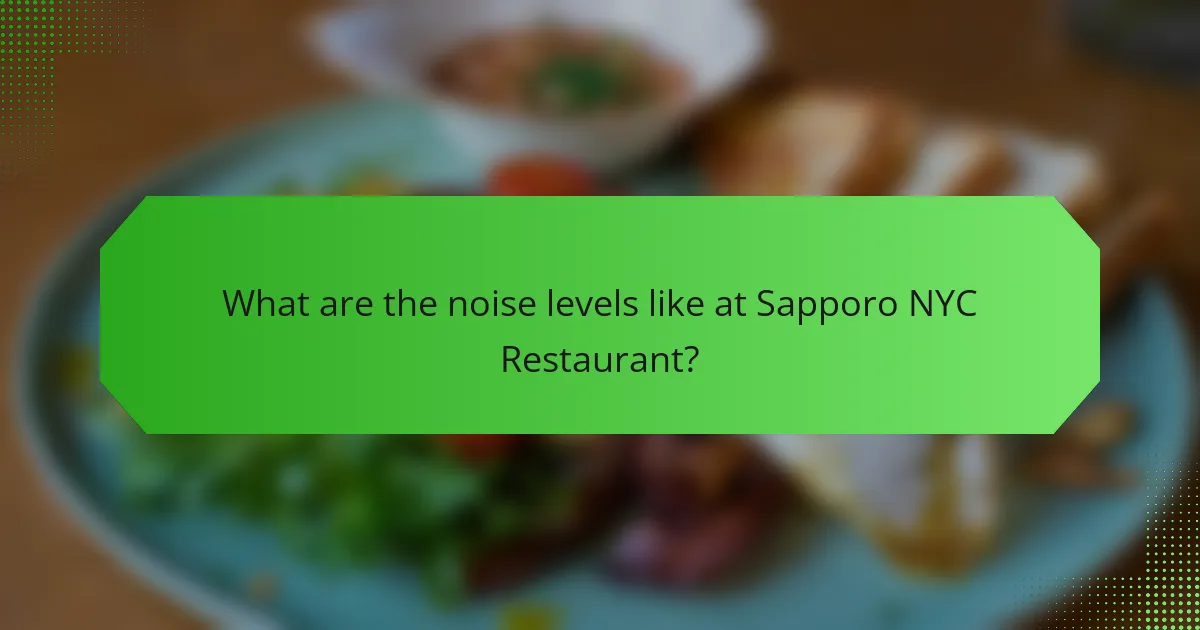 What are the noise levels like at Sapporo NYC Restaurant?