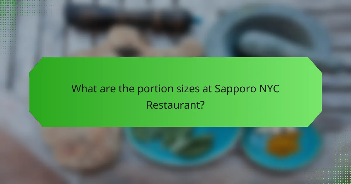 What are the portion sizes at Sapporo NYC Restaurant?